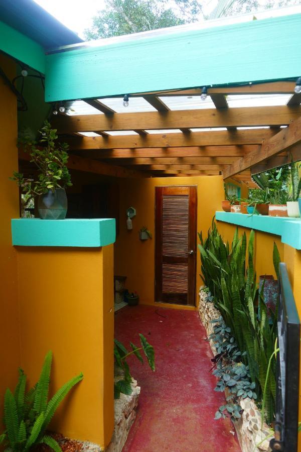 Riverhill Hideaway Monkey Fall Exterior photo