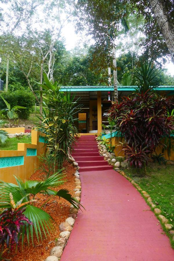 Riverhill Hideaway Monkey Fall Exterior photo